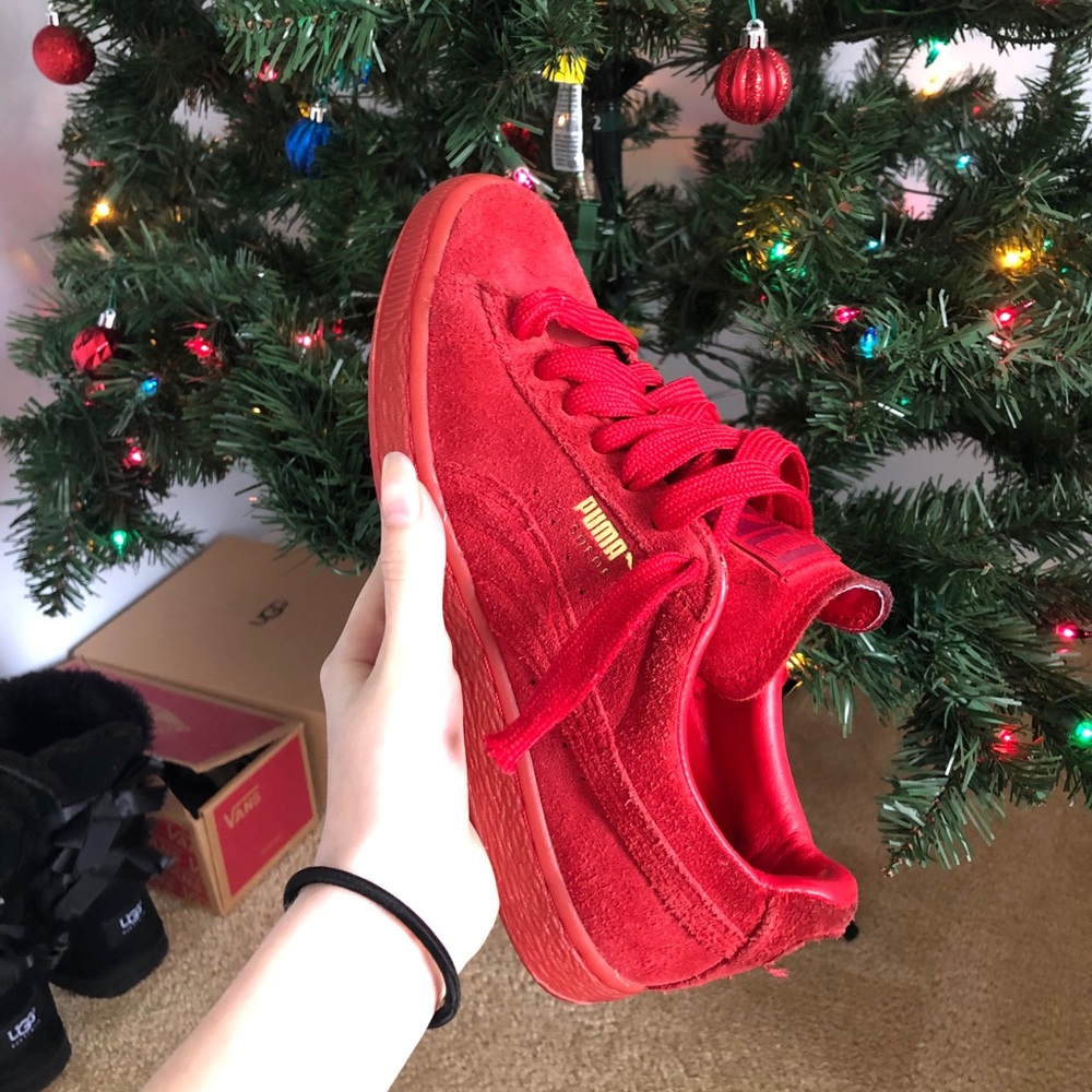 pumas